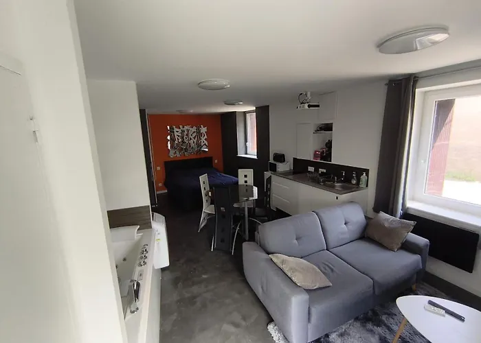 Meublé à Proximité De La Sortie D'autoroute De Feurs Apartamento